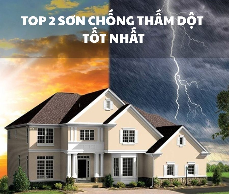 son chong tham dot