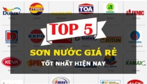 top 5 loai son nuoc gia re1